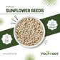 Organic Sunflower Seeds (سورج مکھی بیج) by polifoods banner